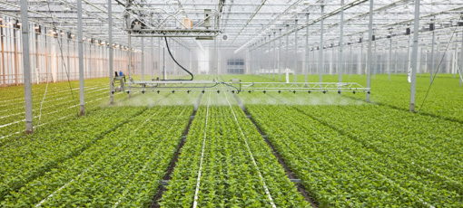 Sprinkler Irrigation Systems