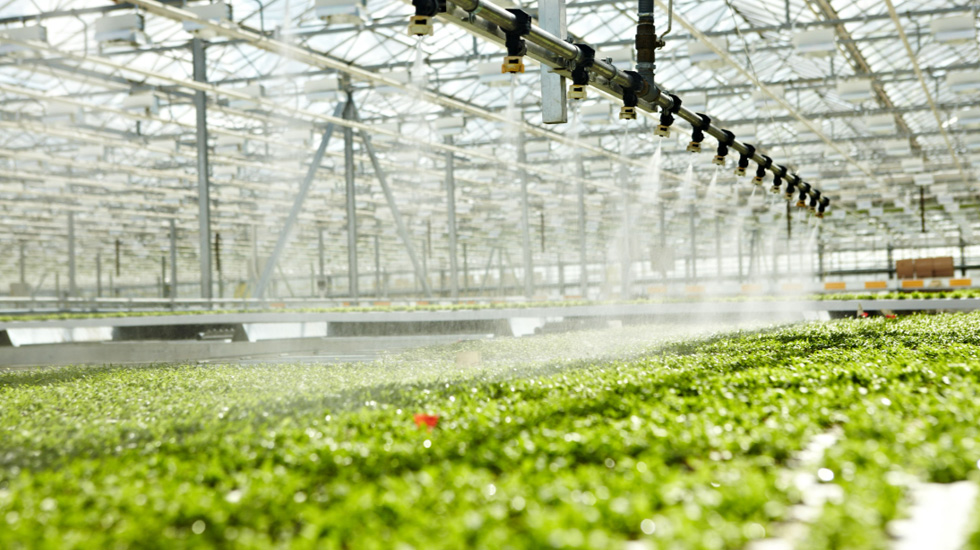 High-Efficiency Sprinkler Systems in Arid Regions