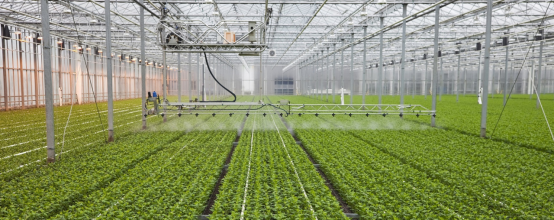 Efficient Solutions for Irrigation Systems with Plastic Fittings by LESSO America