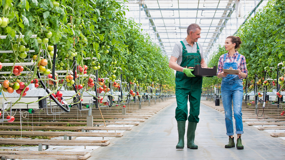 Optimizing Drip Irrigation with PVC Connectors in Various Angles